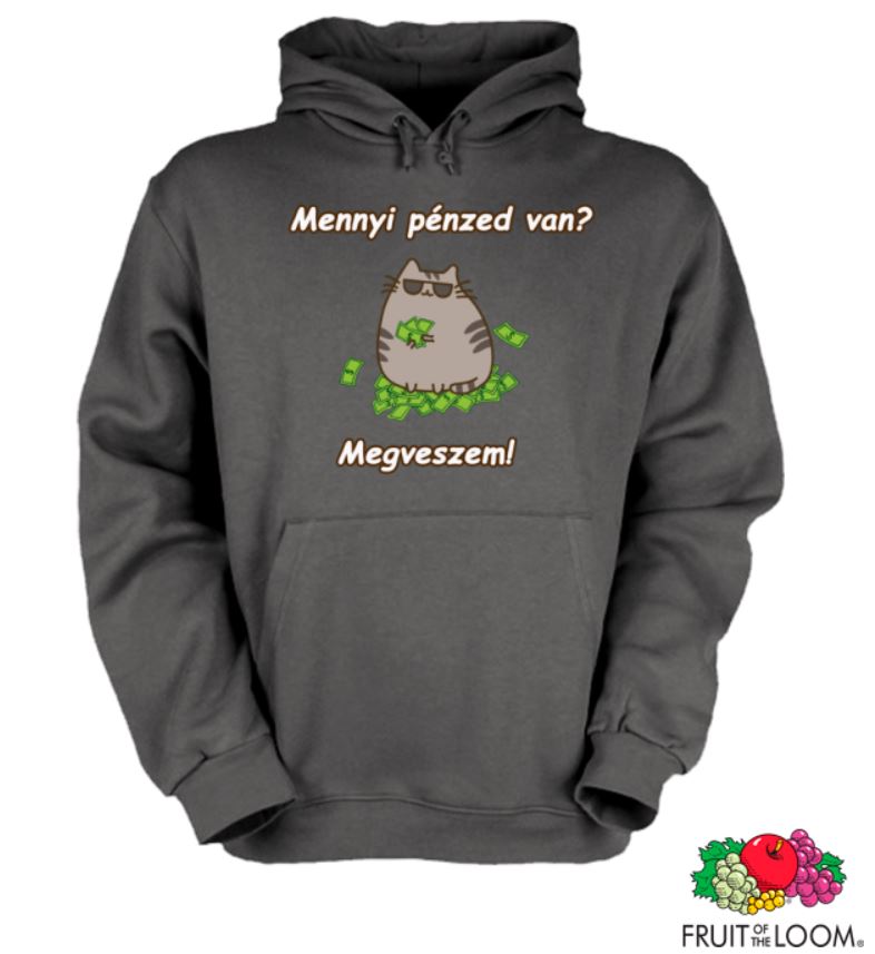 Pusheen-Mennyi pénzed van-pulóver